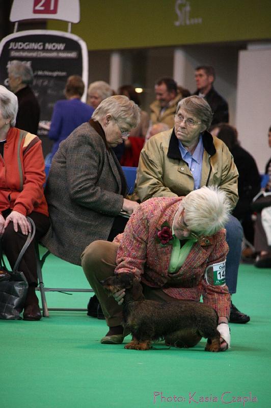 Crufts2011_2 1097.jpg